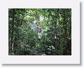 08-StLucia - 028